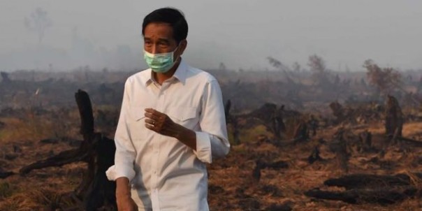 Presiden Jokowi saat meninjau salah satu lahan yang terbakar, pada tahun lalu. Foto; int 
