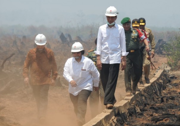 Presiden Joko Widodo bersama Menteri LHK Siti Nurbaya saat meninjau Karhutla/IST
