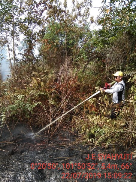 Camat Pangkalan Kerinci Dodi A Saputra, turun langsung ikut memadamkan kebakaran hutan dan lahan/ardi