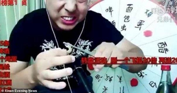 Vlogger China diduga tewas setelah makan tokek dan kelabang beracun hidup-hidup (foto/int)