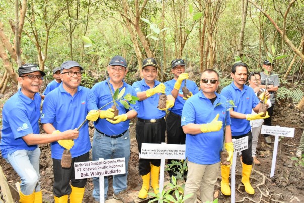 Direktur Bina Pengelolaan Ekosistem Esensial Kementeriaan  Lingkungan Hidup dan Kehutanan (BPEE KLHK) Tandya Tjahjana (keenam dari kiri), Sekda Provinsi Riau  Ahmad Hijazi (keempat dari kiri) dan Sr.VP Corporate Affairs PT CPI Wahyu Budiarto (ketiga dari kiri) melakukan penanaman pohon mangrove dala