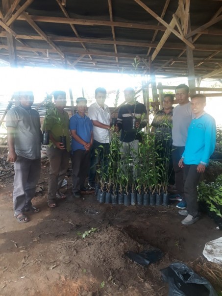 Penyerahan 1700 batang bibit jeruk manis kepada Kelompok Tani Air Terjun, Desa Teluk Paman Timur, Kecamatan Kampar Kiri, Kabupaten Kampar./IST