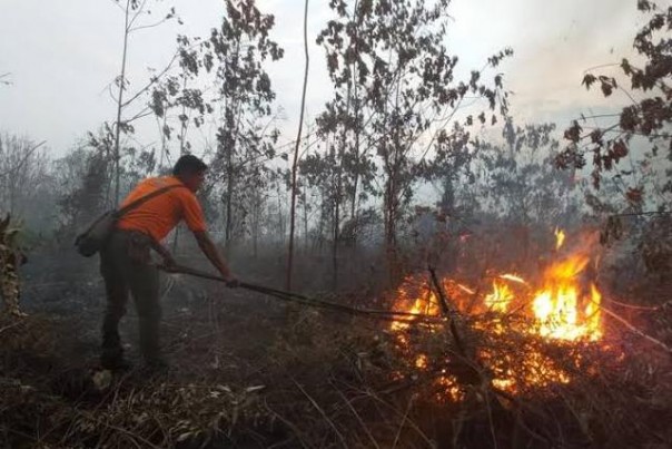 Foto kebakaran hutan di Riau