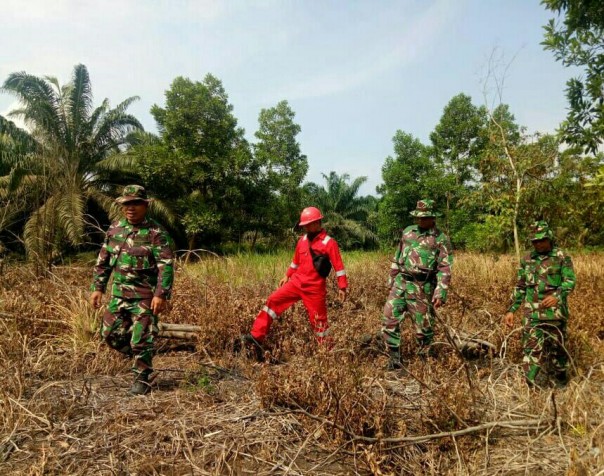 Anggota Babinsa Koramil 10/Kds Rutin Patroli dan Cegah Karhutla di Bonai Darussalam (foto/int)