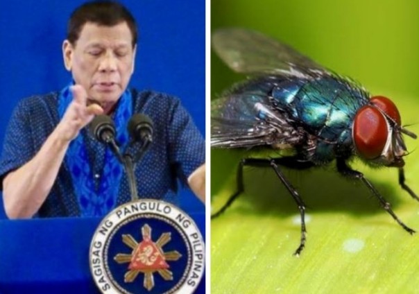 Presiden Filipina Duterte mencoba mengusir lalat yang menganggunya berpidato (foto/int)