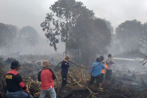 Petugas gabungan memadamkan api di salah satu kawasan yang terbakar di Kabupaten Pelalawan. Foto: int 