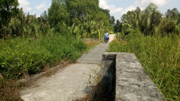 Kondisi jembatan Sungai Pinggan, Desa Gemilang Kecamatan Batang Tuaka sungguh memprihatinkan/rgo