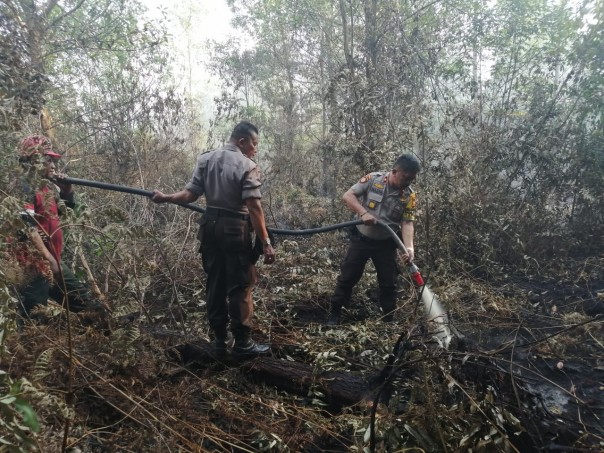 Polisi mencoba memadamkan kebakaran hutan dan lahan di Riau (foto/int)