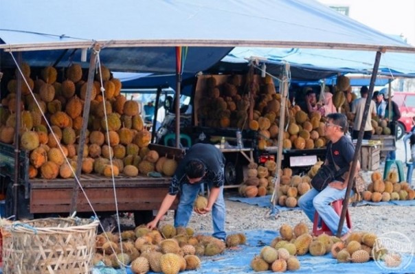 Salah satu lokasi penjualan durian di Kota Pekanbaru. Foto: int 