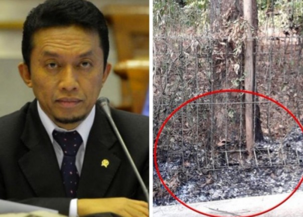 Tifatul Sembiring pertanyakan pohon sengon yang disebut PLN jadi biang keladi pemadaman listrik total di sebagian Pulau Jawa (foto/int)