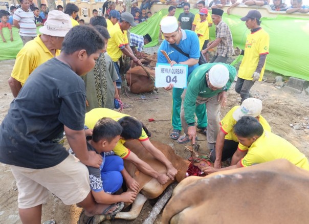 Pengurus Masjid Agung Al-Huda Tembilahan, melaksanakan pemotongan 17 ekor hewan kurban/rgo