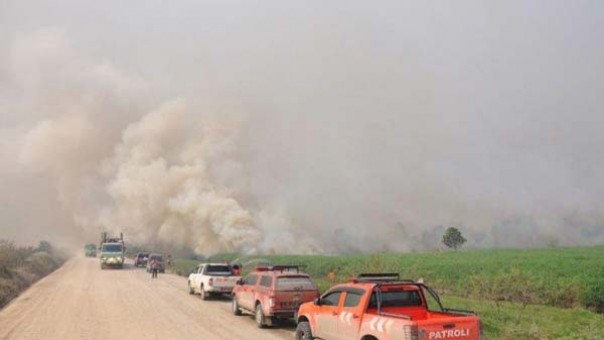 Taman Nasional Tesso Nilo terbakar lagi (foto/int)