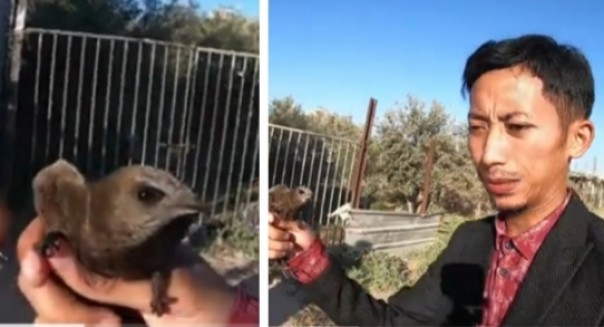 Aktivis Palestina asal Indonesia, Muhammad Husein ini mengaku bertemu burung ababil (foto/int)