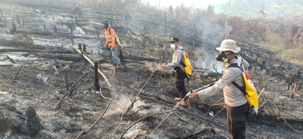 Kebakaran hutan dan lahan di Kabupaten Pelalawan Riau.