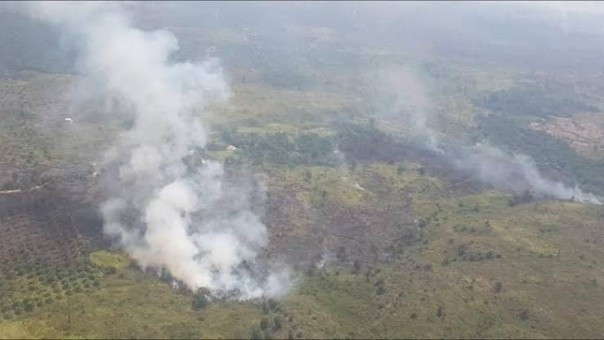 Pelalawan dan Inhil kembali tercatat paling banyak muncul hotspot atau titik panas (foto/int)