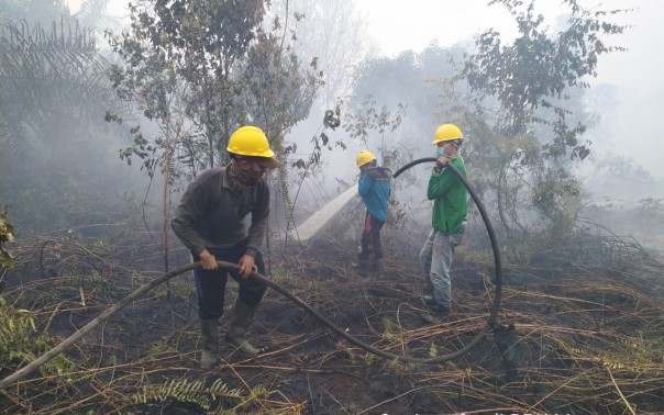 Tim Pemadam PT SPA dan APP-Sinar Mas Forestry Bantu Padamkan Karhutla di  Hutan Desa Perbatasan Serapung Pelalawan