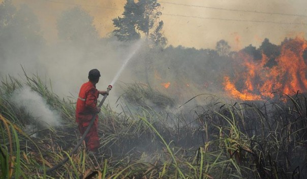 Hotspot di Pelalawan, Provinsi Riau tak kunjung padam (foto/int)