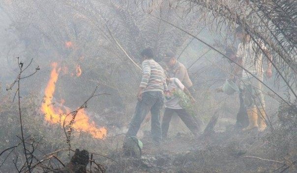 Petugas mencoba memadamkan kebakaran lahan (foto/int)