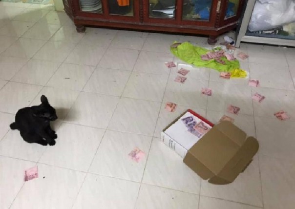 Kucing hitam tanpa sengaja jatuhkan kotak rahasia yang berisi uang (foto/int)