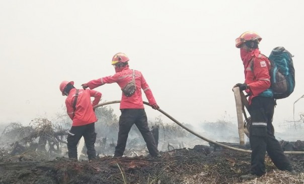 Tim Pemadam Kebakaran PT SPA - AA memadamkan Karhutla