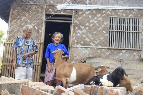 Icih dan Uka, dua perempuan lansia yang masih tinggal serumah bersama kambing. Foto: int 