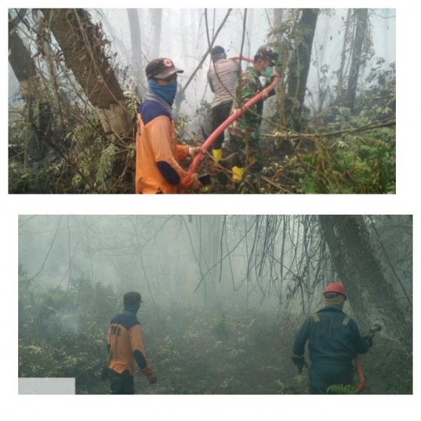 Tim gabungan melakukan upaya pemadaman di lahan gambut milik PT Chevron/hari