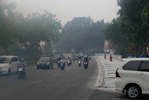 Hotspot Riau semakin banyak dan kabut asap makin pekat (foto/int)