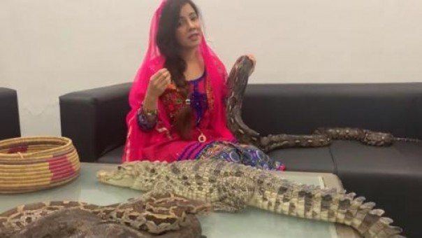 Penyanyi pakistan terancam hukuman penjara dua tahun akibat memamerkan buaya dan ular miliknya (foto/int)