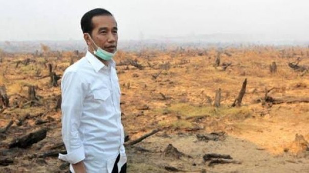 Jokowi saat meninjau kebakaran hutan Dan lahan