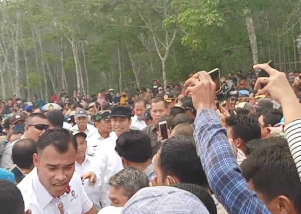 Presiden Jokowi (topi hitam) disambut warga Desa Merbau, Pelalawan, dengan antusias. Foto: ardi 