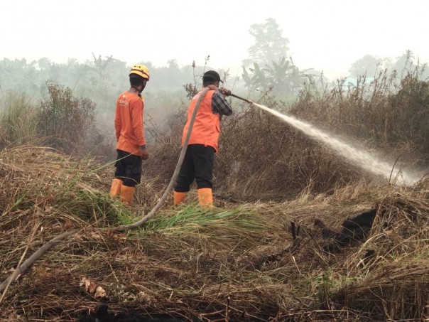 Karhutla di Riau masih belum sirna (foto/int)