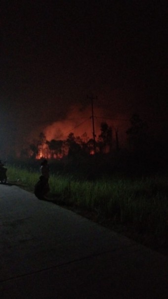Kebakaran lahan masih terjadi di Riau (foto/int)