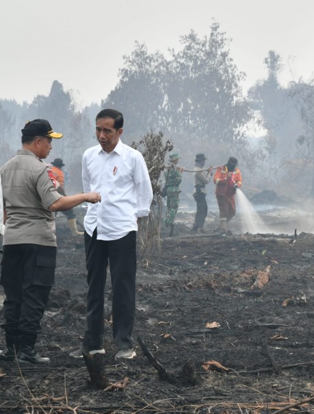 Presiden Jokowi sempat datang langsung lahan bekas terbakar di Kabupaten Pelalawan, Riau (foto/istimewa)
