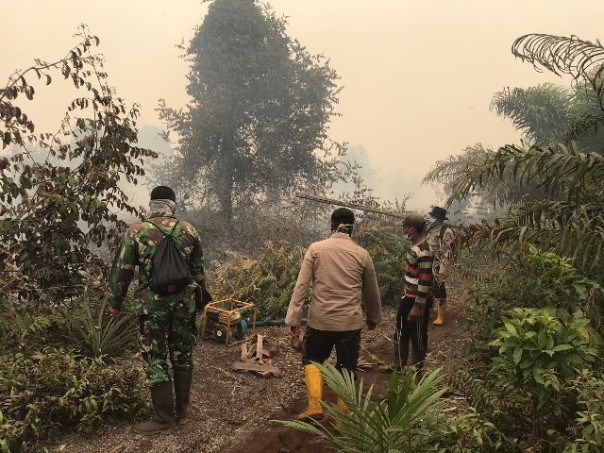 Petugas gabungan berjibaku memadamkan lahan yang terbakar di Bathin Solapan, Bengkalis. Foto: hari 