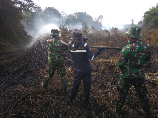 Kebakaran Hutan dan lahan (karhutla) di Kabupaten Bengkalis masih lagi ada yang tersisa di beberapa titik (foto/istimewa)