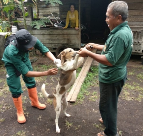 Dinas Pertanian (Distan) Kabupaten Bengkalis memberikan vaksin rabies secara massal ke hewan peliharaan (foto/hari)