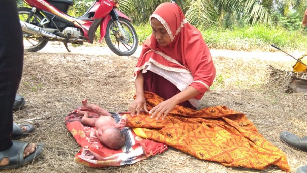 Warga Siak temukan bayi yang dibuang di tengah-tengah kebun sawit (foto/lin)