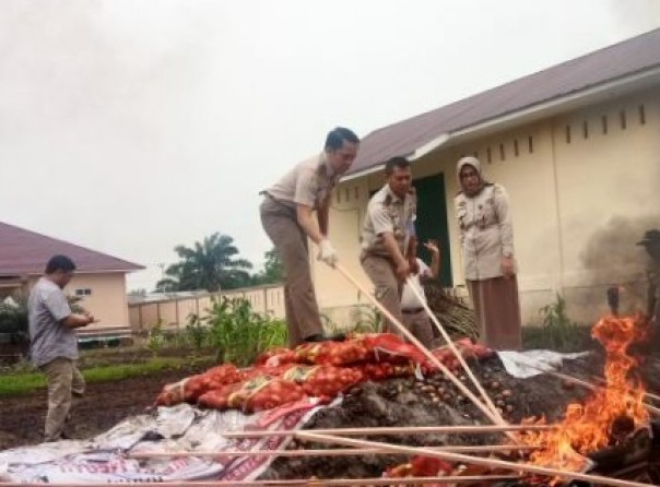 Sebanyak 13 ton bawang bombai yang ditangkap Kantor Pengawasan dan Penindakan Bea dan Cukai (KPPBC) Dumai dimusnahkan (foto/zal)