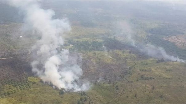 Kebakaran hutan dan lahan di Riau (foto/ilustrasi)