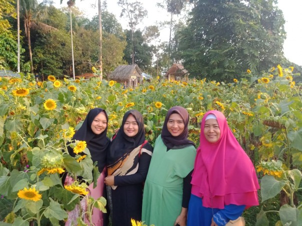 Warga Pekanbaru masih ramai mengunjungi taman bunga Okura walau puncak musim bunga matahari sudah lewat (foto/riki)