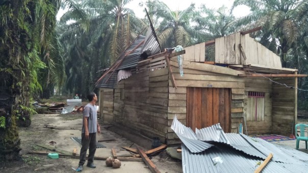 Angin puting beliung hancurkan rumah warga di Kuansing (foto/zar)