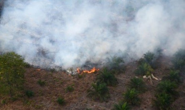 Polisi apresiasi warga Kuansing yang buka lahan tanpa membakar (foto/ilustrasi)