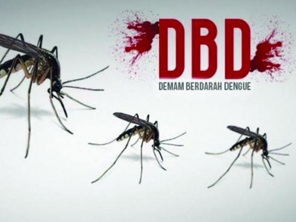 Demam berdarah dengue (foto/int)