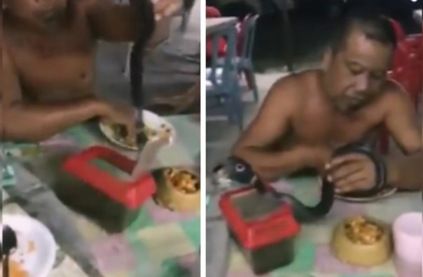 Ular kobra temani seorang pria makan nasi (foto/int)