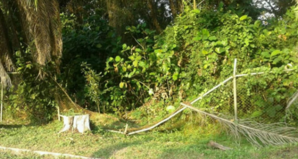 Begini kondisi pagar pembatas jalan yang rusak akibat dijebol gajah liar. Lokasinya berada tak jauh dari Mapolsek Mandau, Kabupaten Bengkalis.  Foto: int  