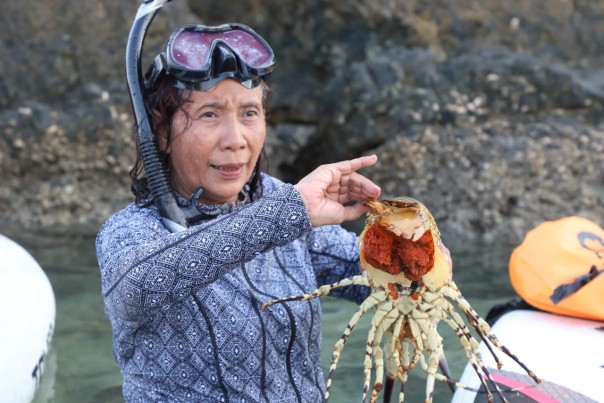 Mantan Menteri Kelautan Susi Pudjiastuti ingatkan lobster Indonesia bisa terancam punah (foto/int)