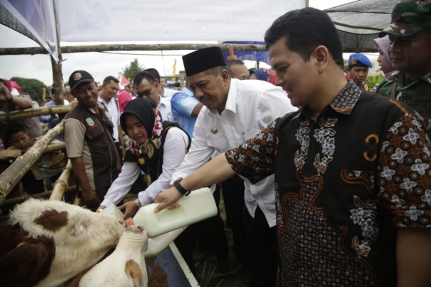 Pemerintah Pusat melalui Direktorat Jenderal Peternakan dan Kesehatan Hewan Kementerian Pertanian RI, akan meningkatkan target populasi ternak sapi di Kabupaten Siak (foto/int)