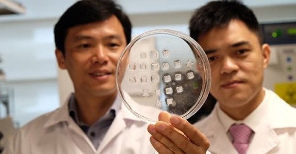 Tak Perlu Diet dan Olahraga, Ilmuwan Dari Singapura Telah Menemukan Alat Untuk Melangsingkan Tubuh Dengan Cepat