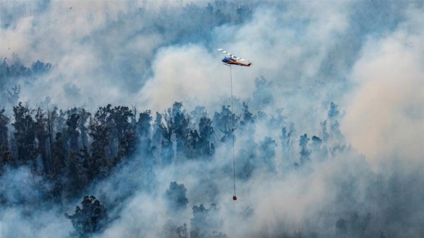 Australia Desak 100.000 Penduduk Untuk Melarikan Diri Akibat Kebakaran Hutan