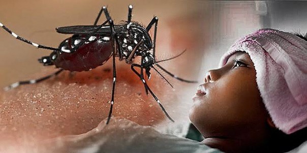 Demam berdarah dengue (foto/ilustrasi)